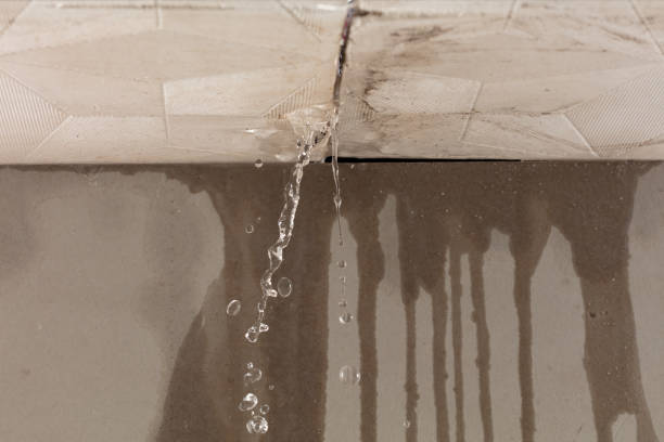 Professional Burst Pipe Cleanup technician working in Sunshine, LA